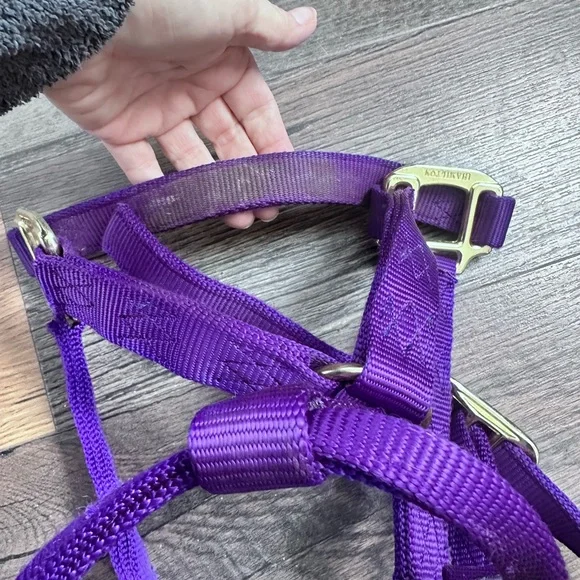 Purple Horse Halter - Picture 4 of 5